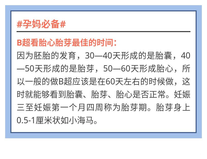 B超看胎心胎芽的最佳时间点