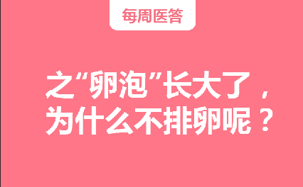 【每周医答】之“卵泡”长大了，为什么不排卵呢？