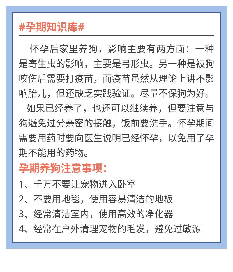 孕期养狗,你需要注意这些!!!