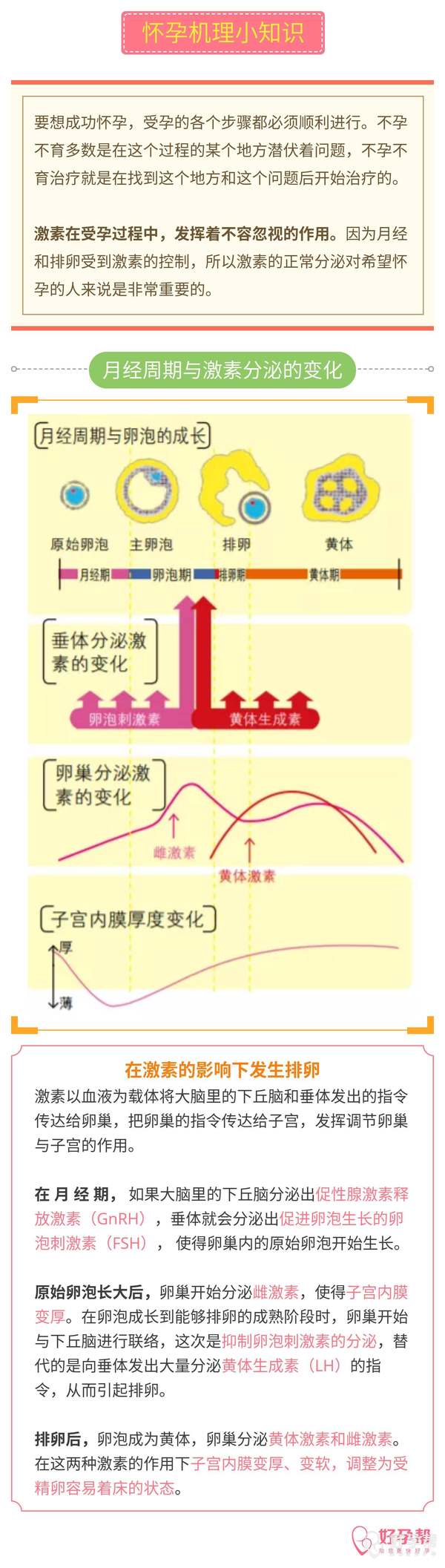 怀孕机理小知识月经周期与激素分泌的变化