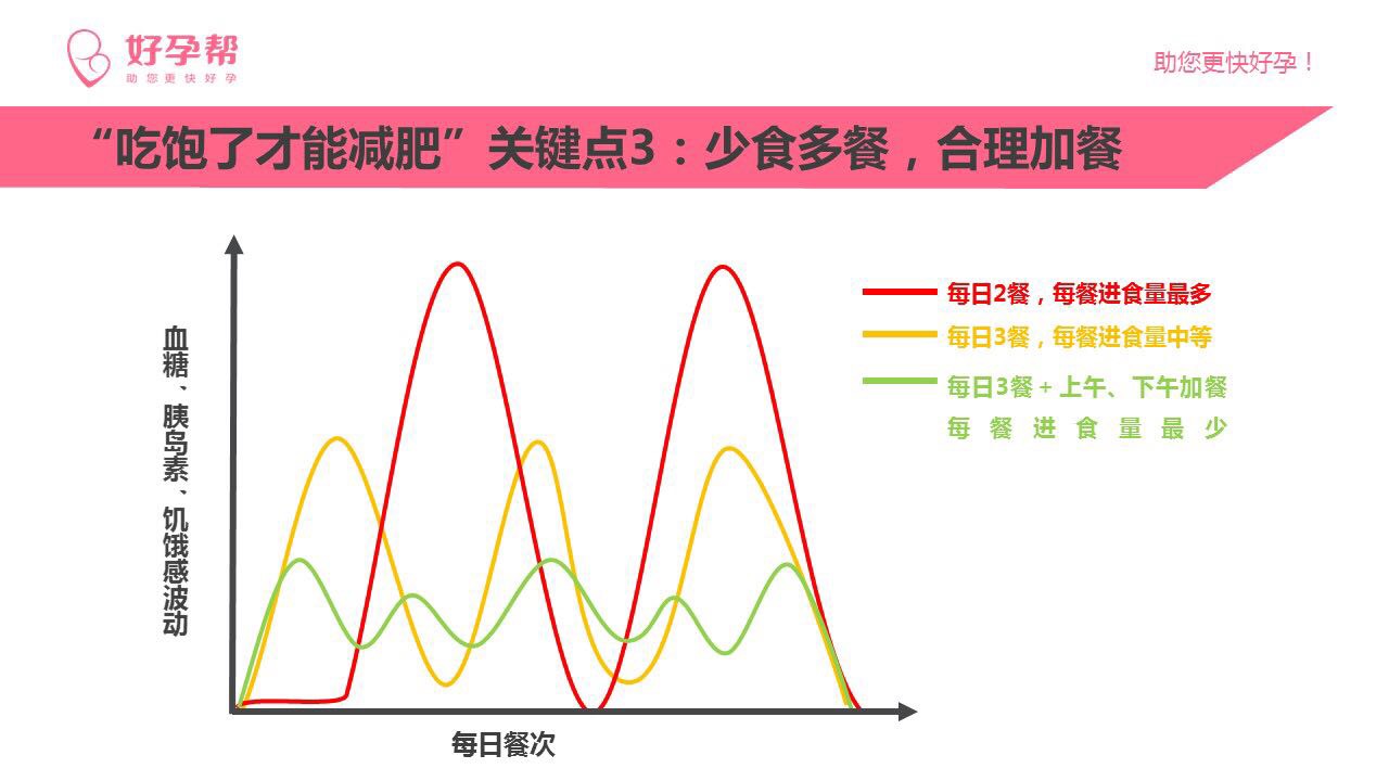 少食多餐合理加餐每日3餐每餐进食量中等记录课