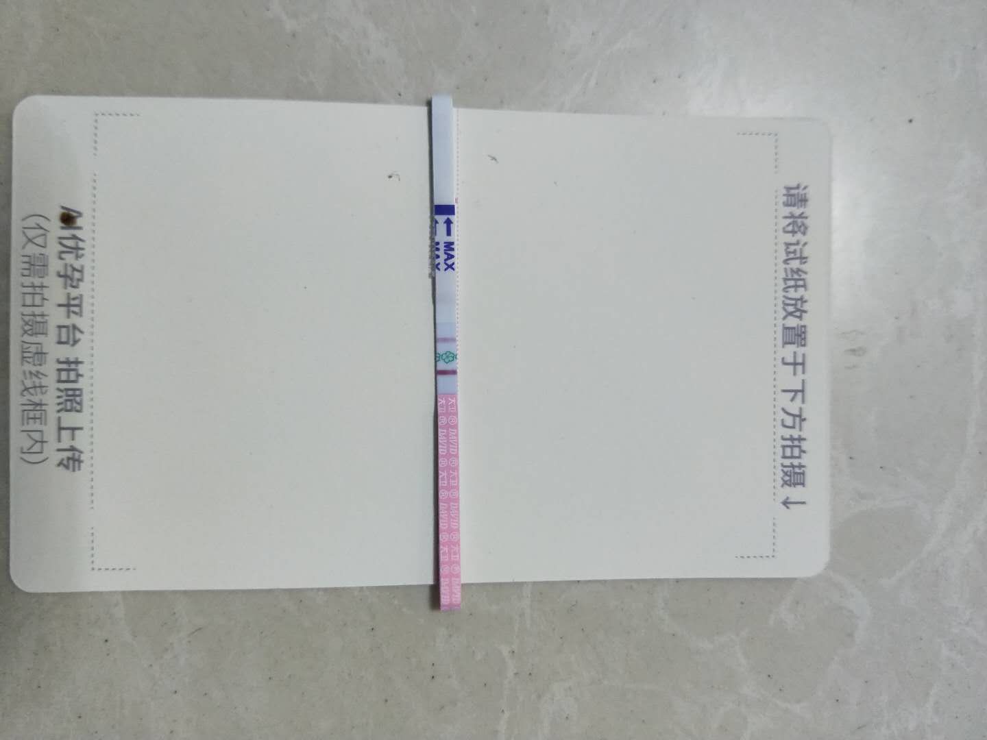 您好老师我是单角子宫为什么彩超监测到排卵试纸