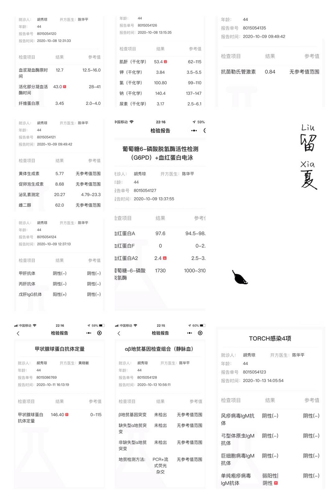 2000年结婚2009年试管双胎因萄萄胎终止