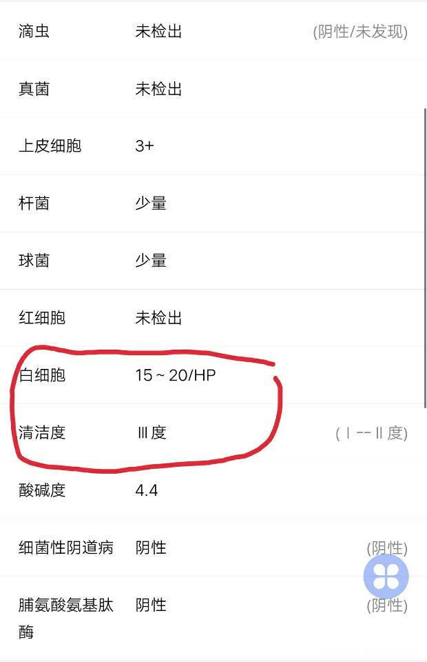 医生请帮我看一下这是细菌性阴道炎还是霉菌性阴