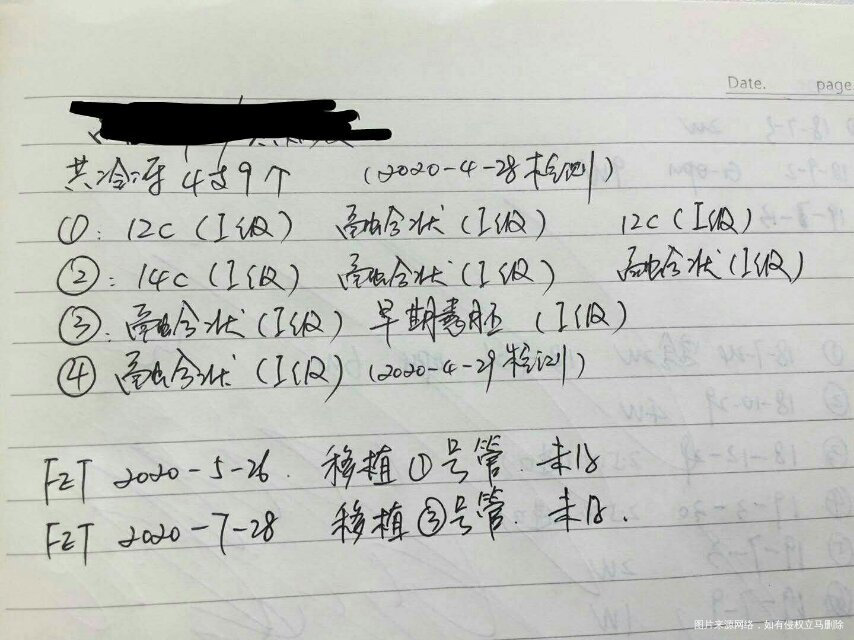 两次移植共5个第4天桑椹胚着床失败看中医诊断