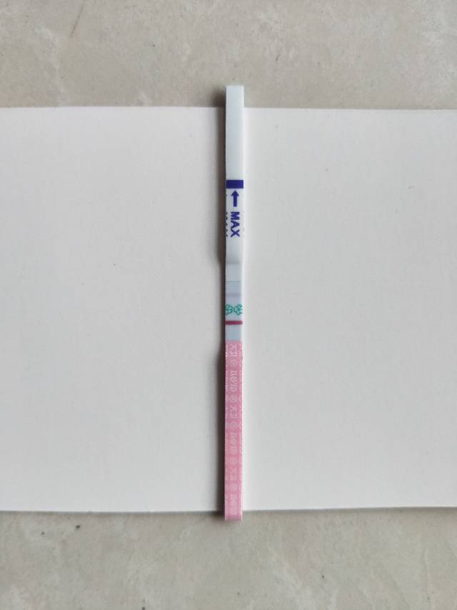 您好老师我是单角子宫为什么彩超监测到排卵试纸