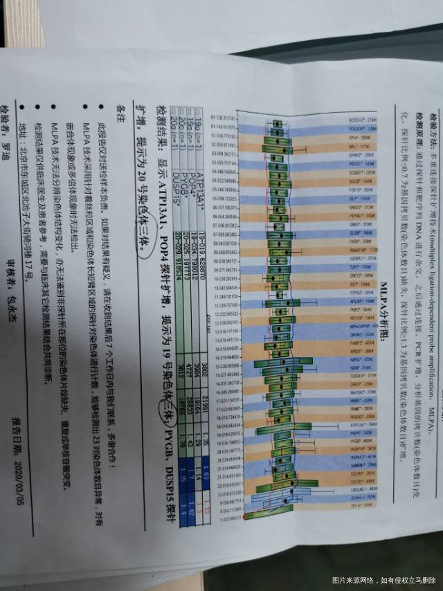 2019年7月29日子宫输卵管造影宫腔充盈欠