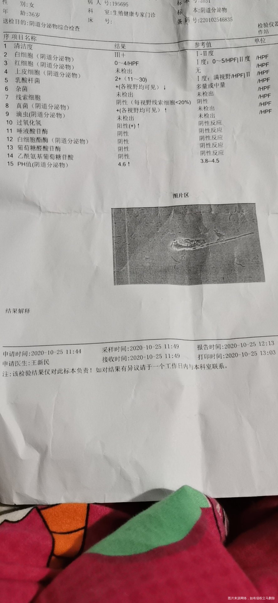 我是22岁做过人流手术丛那就不怀孕了现在做试