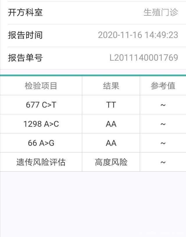 十二周多原发性高血压前几天查了叶酸代谢和风险