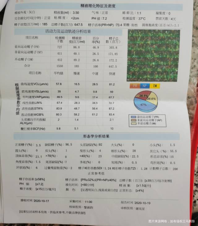 请问可以备孕吗精子核蛋白不成熟率高容易导致流