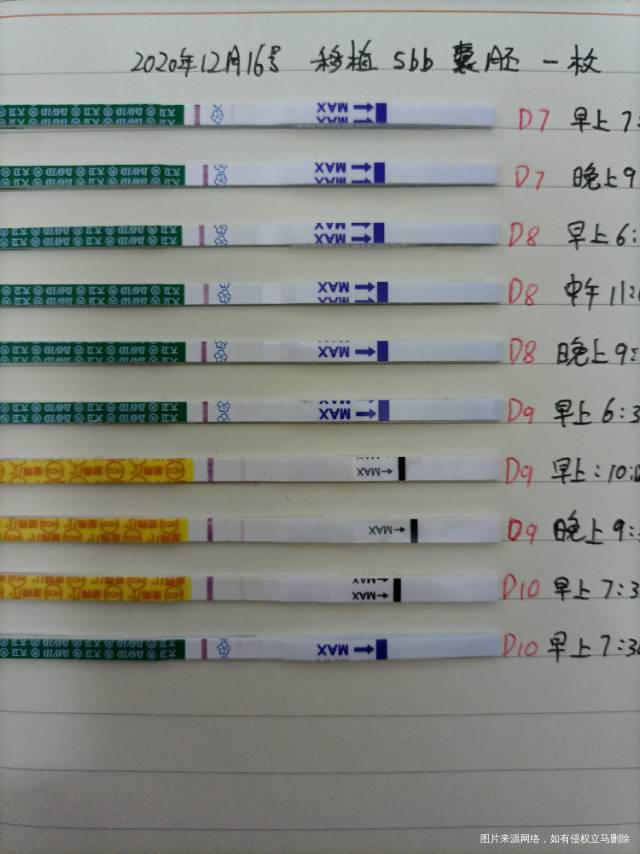 1226号移植囊胚一枚今天都第十天了试纸都不