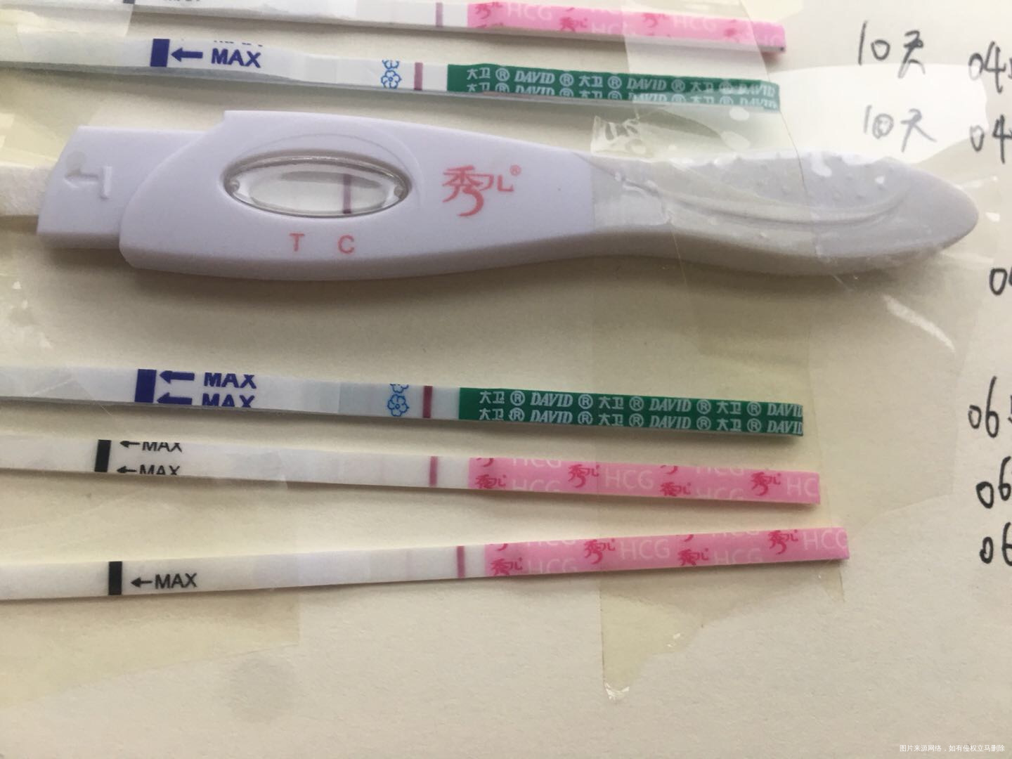 626号移植一个囊胚不含移植日今天第十天但试