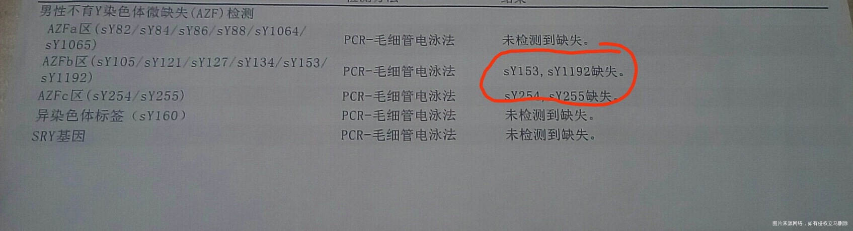 精液检查0精子性激素正常睾丸外观大小正常也有