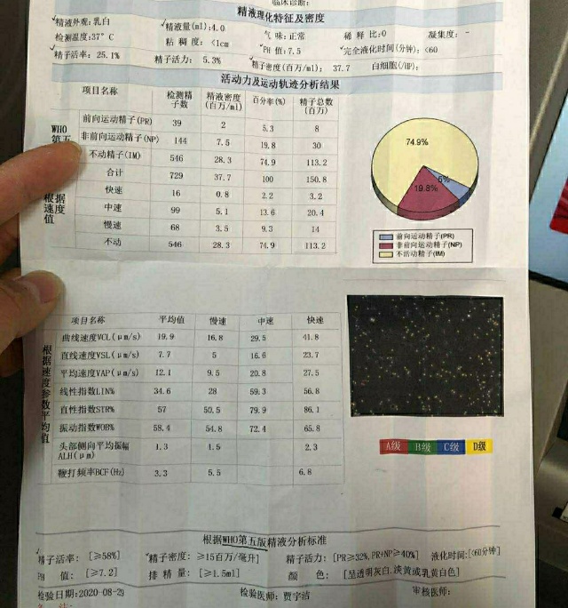 大龄备孕首胎没成功附件为精子检查报告a+b2