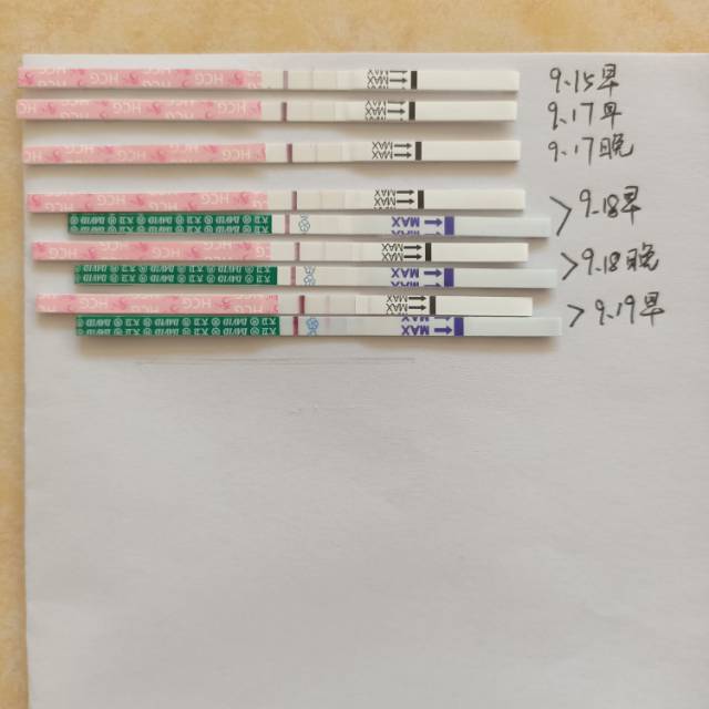 910号移植两枚82级别的冻胚99号解冻长了