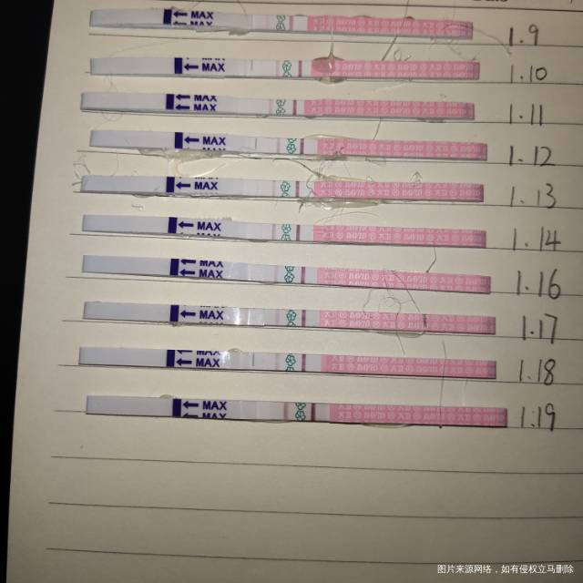 医生多囊卵巢用排卵试纸测不到强阳12月26号