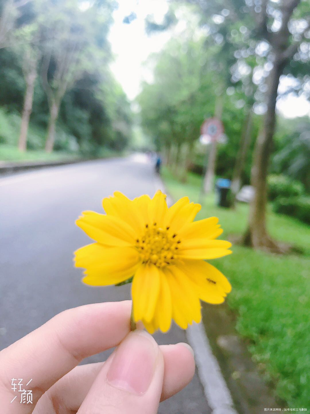 太棒啦,我完成7天打卡目标!姐妹们一起加油啊~