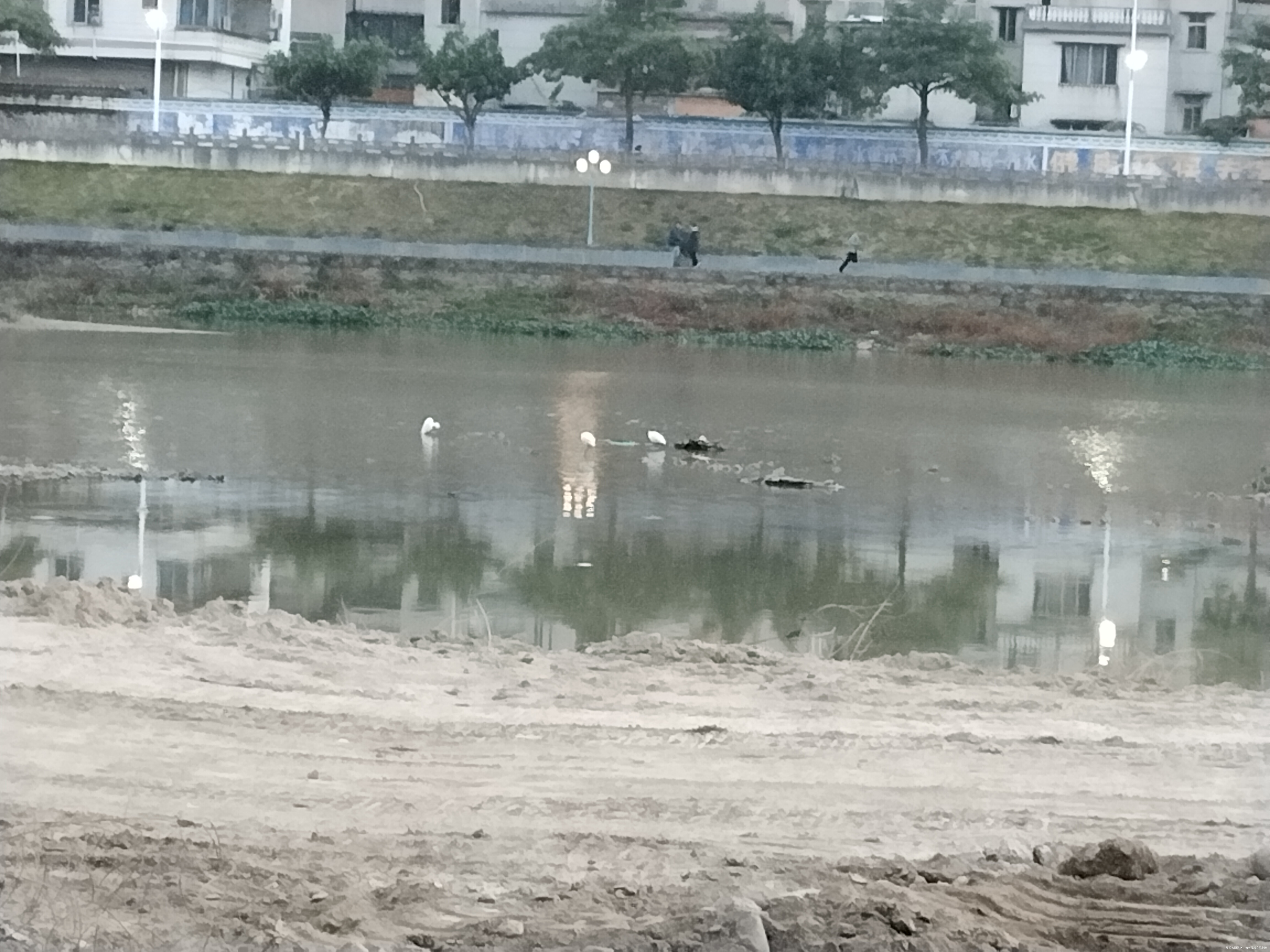 太棒啦,我完成7天打卡目标!姐妹们一起加油啊~