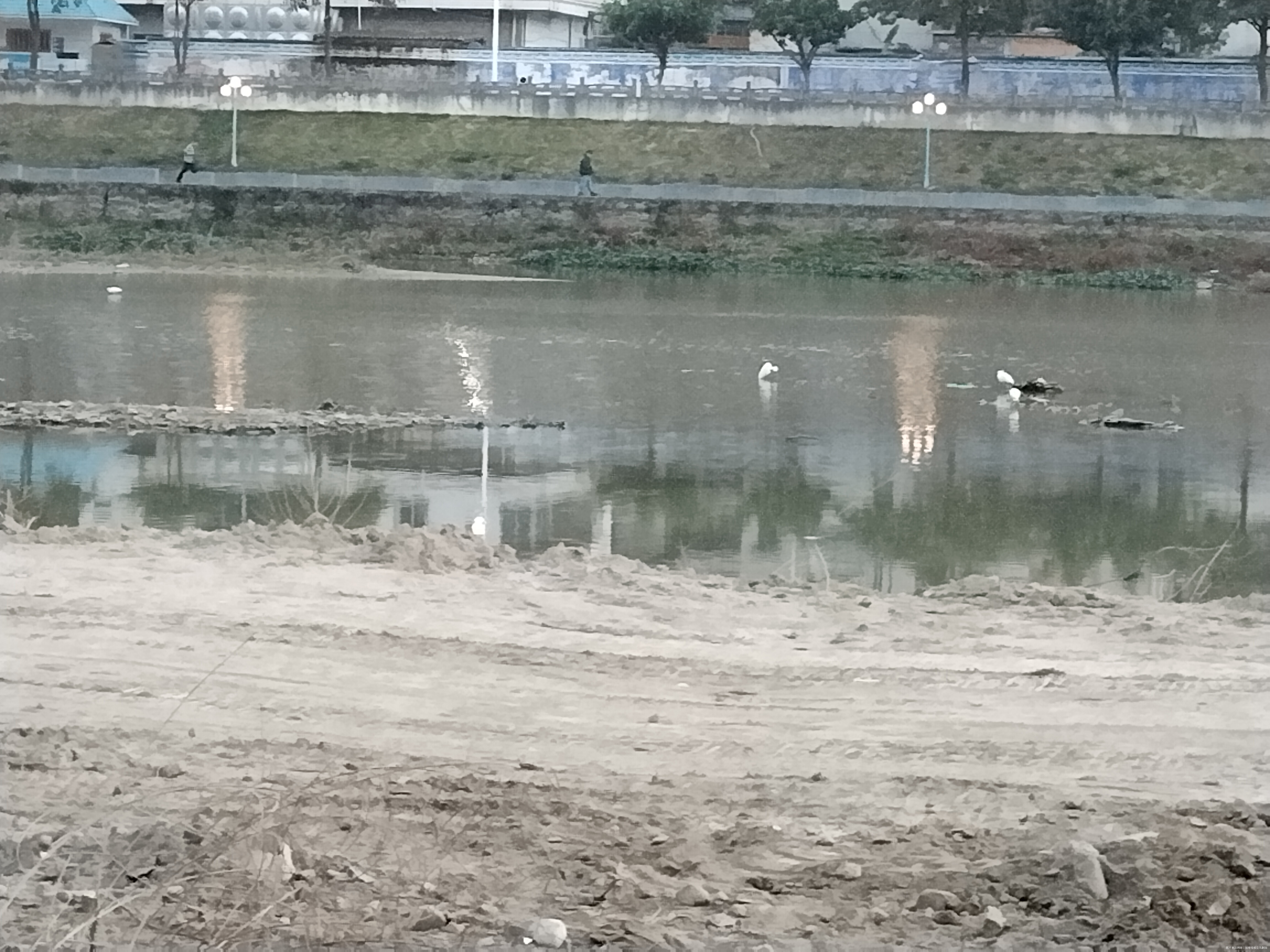 太棒啦,我完成7天打卡目标!姐妹们一起加油啊~