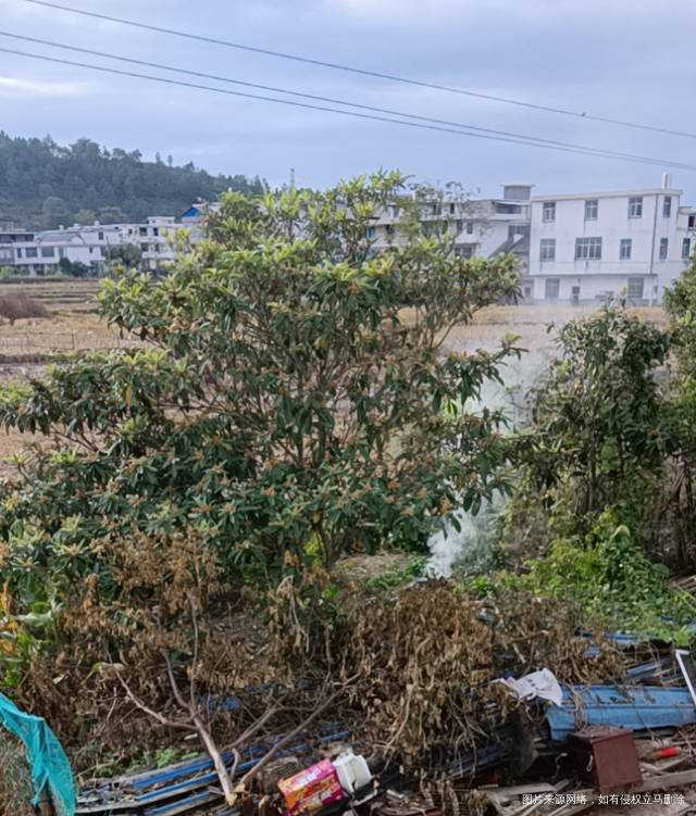 孕十一周这几天隔壁的老是在我们房间外面烧垃圾