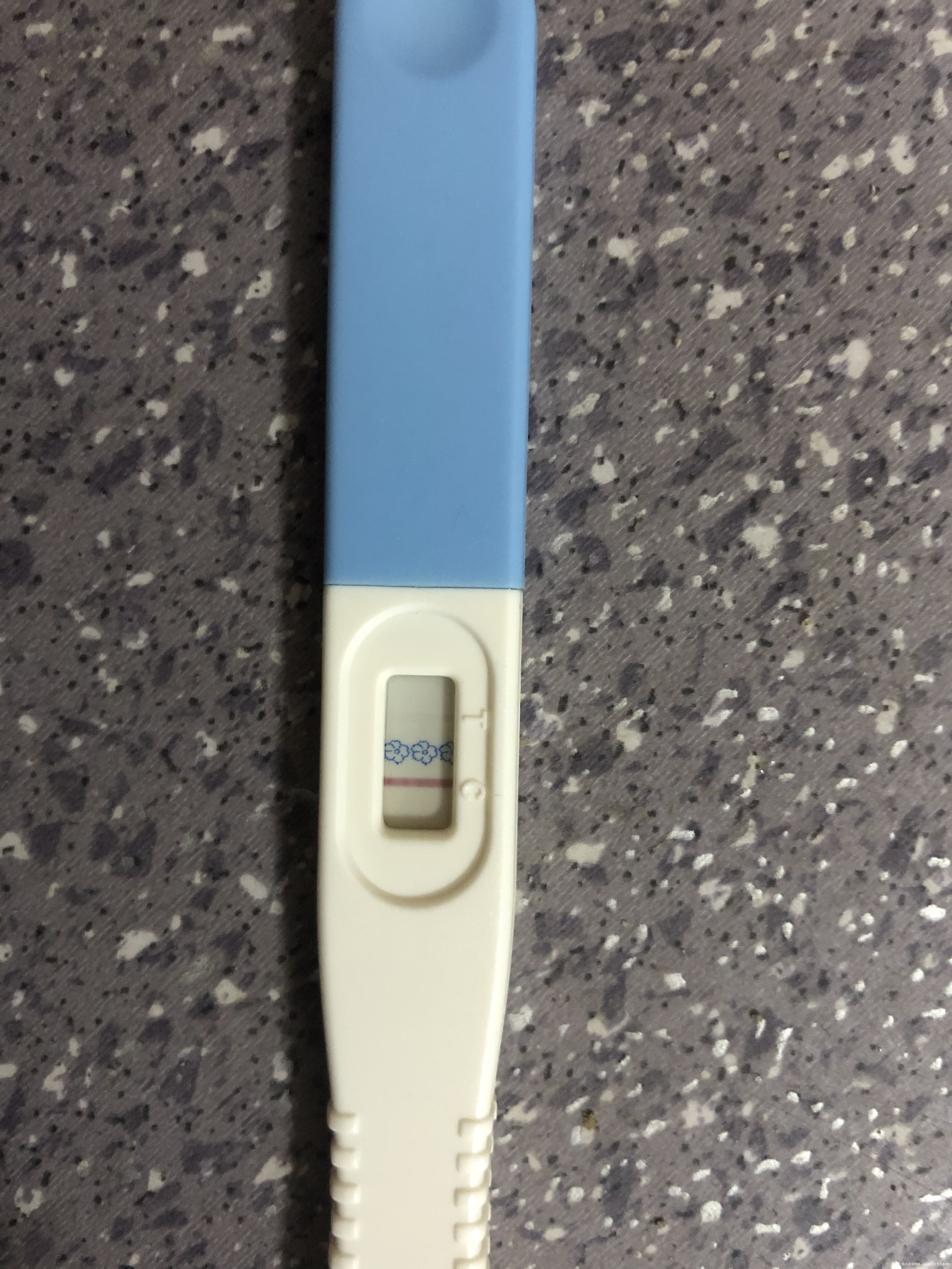 在移植第九天的时候测试纸白板等到第10天的时