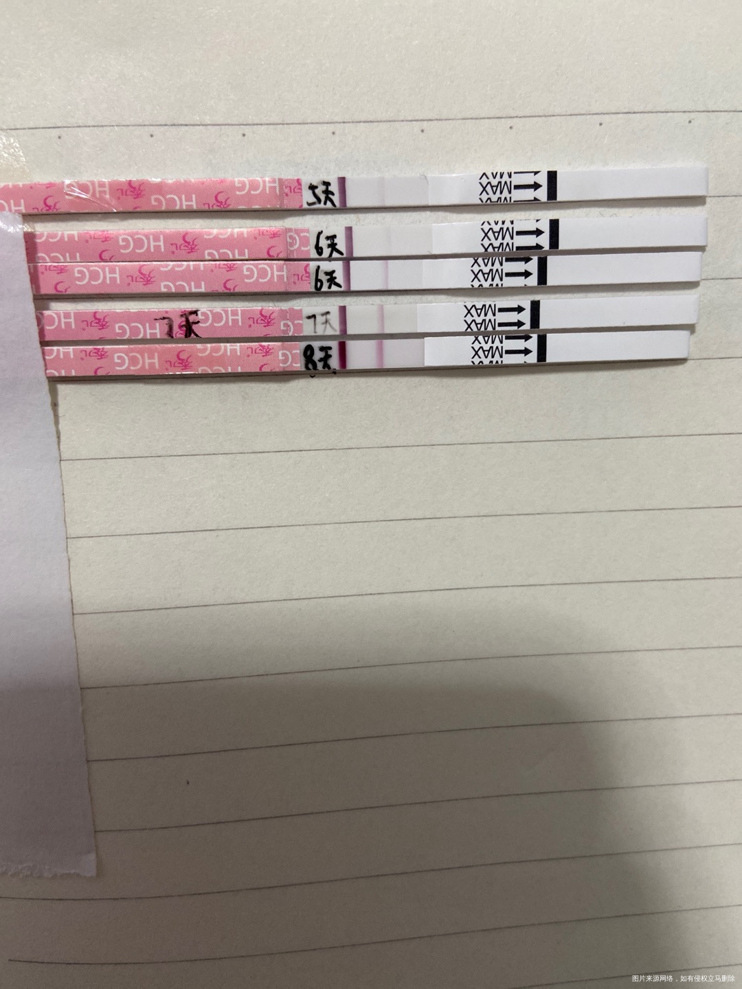 移植第八天之前一直有胸胀疼的感觉第八天早上胸