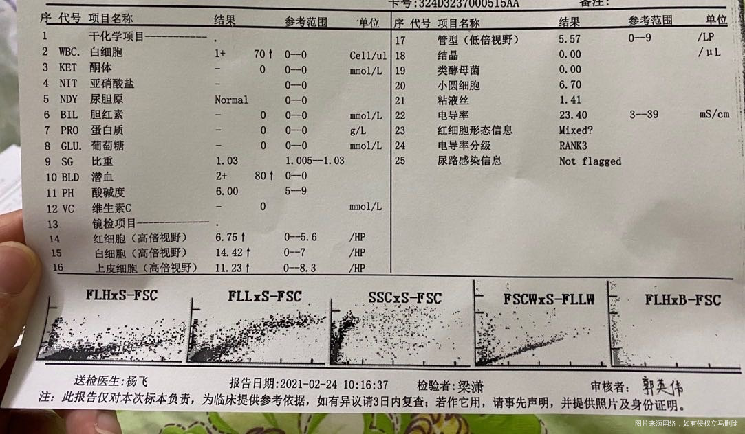现在孕11+3b超显示胎芽的长度可能小一周算