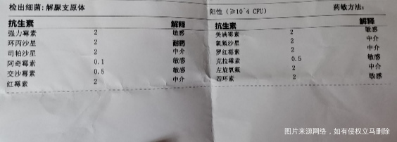 医生您好我前段时间查出支原体阳性做了药敏培养