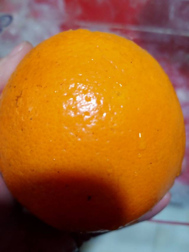 415周四早上黑豆红薯鸡蛋牛奶中午西红柿鸡蛋