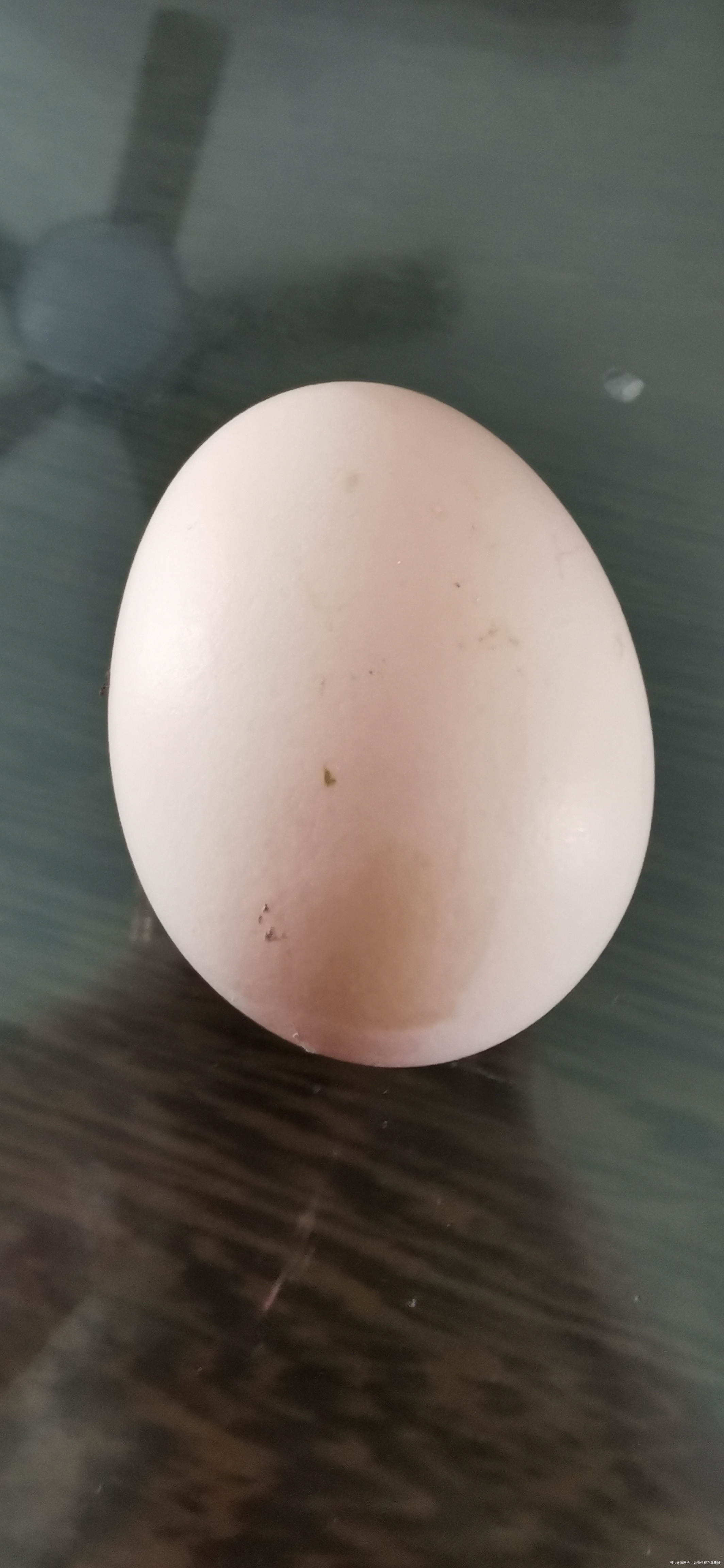 早餐:青团2个,水煮蛋一个,小米大米粥一碗