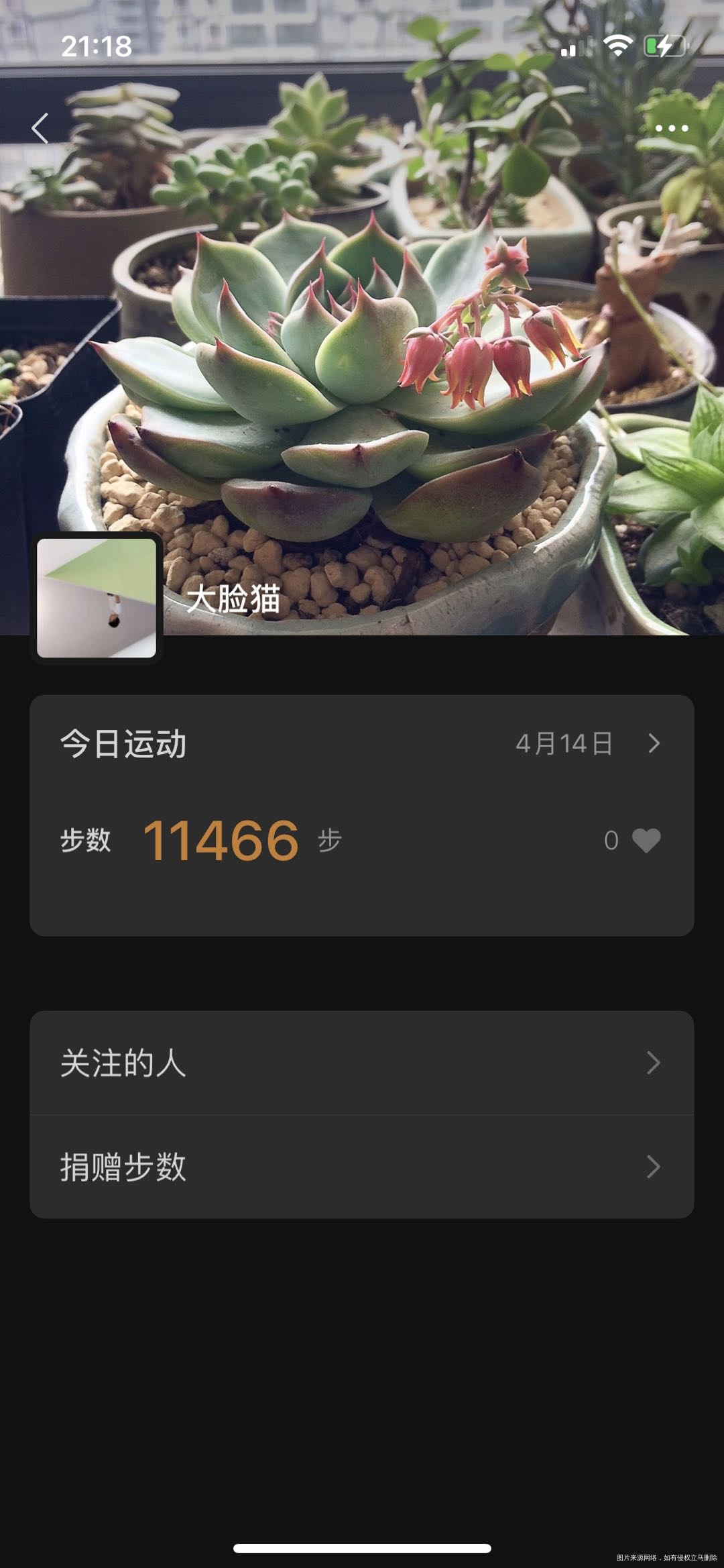 今天医院B超囊肿消失了从发现到现在一个月都在