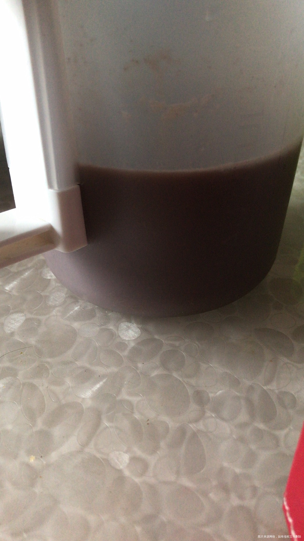 下雨了,晨起冒小雨遛弯,早餐,一个素包子,一