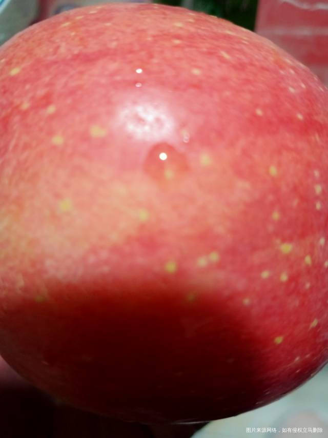 414早上鸡蛋牛奶红薯中午公司吃饭青菜鸡肉小