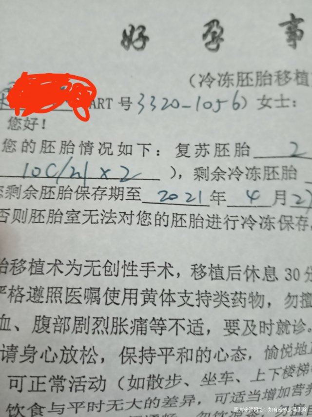 图片这两个胚胎是最差的吗