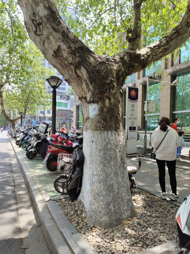 今天去医院了,开了药,饮食今天不规律,就吃了