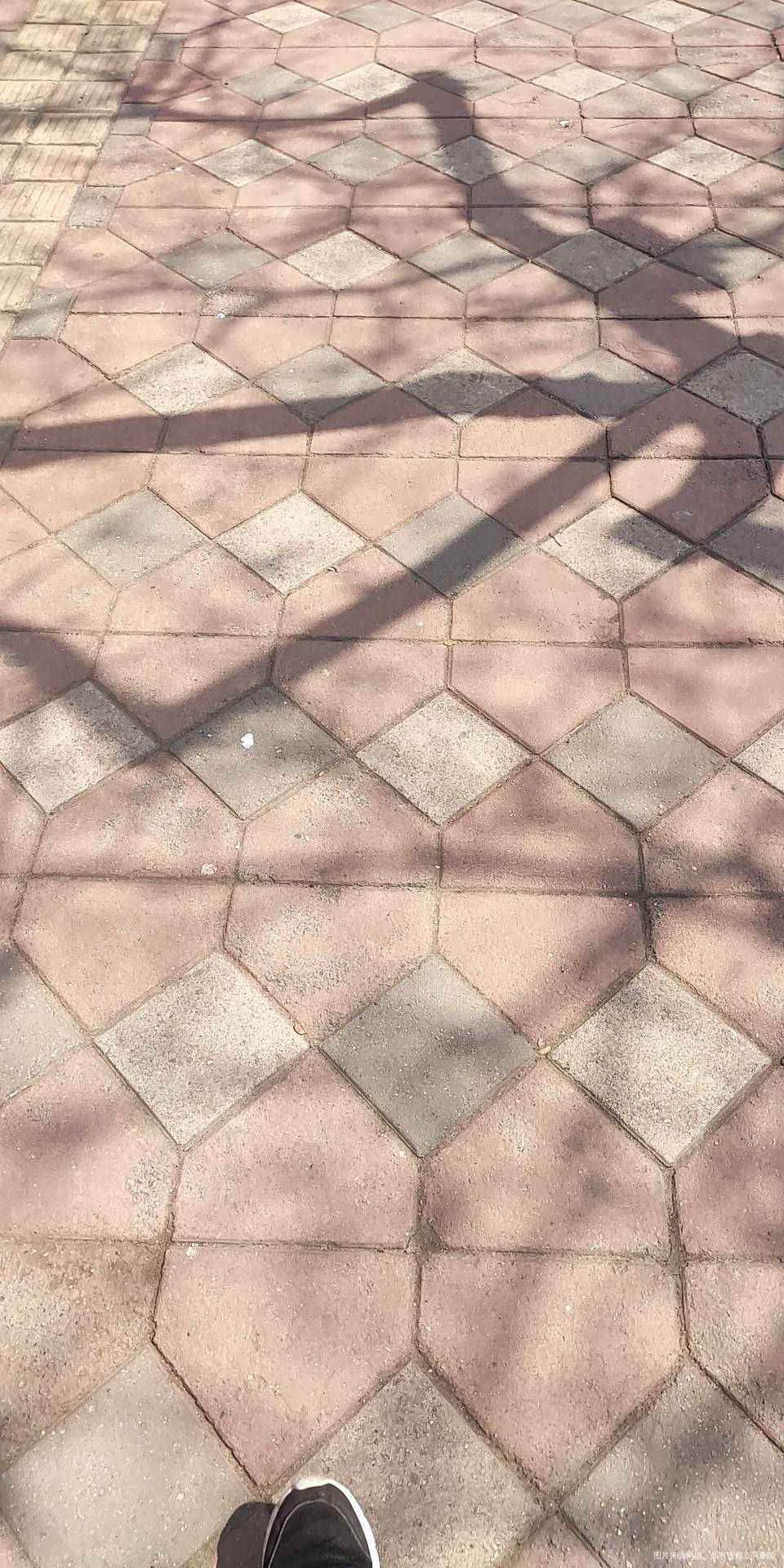 太棒啦,我完成7天打卡目标!姐妹们一起加油啊~