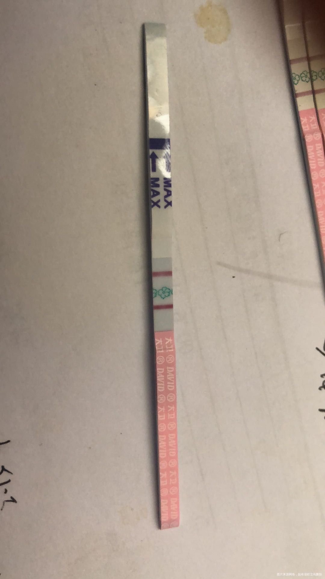 之前促排四次未怀这月中药调理卵泡b超示已成熟