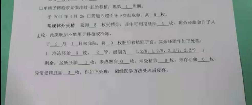 胚胎发育情况好不好是移植鲜胚好还是移植囊胚好