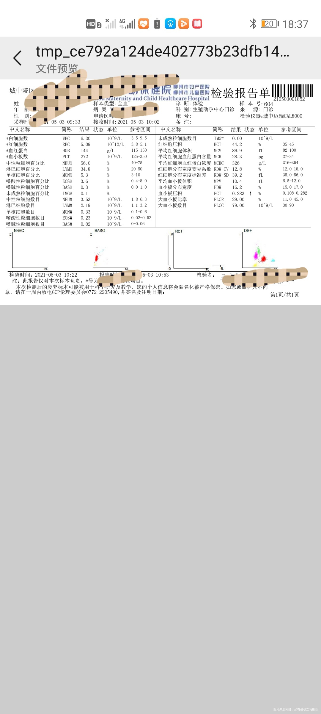 人授术前检查是不是有地贫看不懂