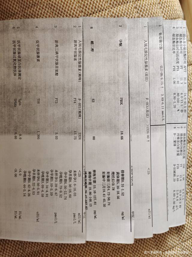 帮忙看下移植14天的结果谢谢