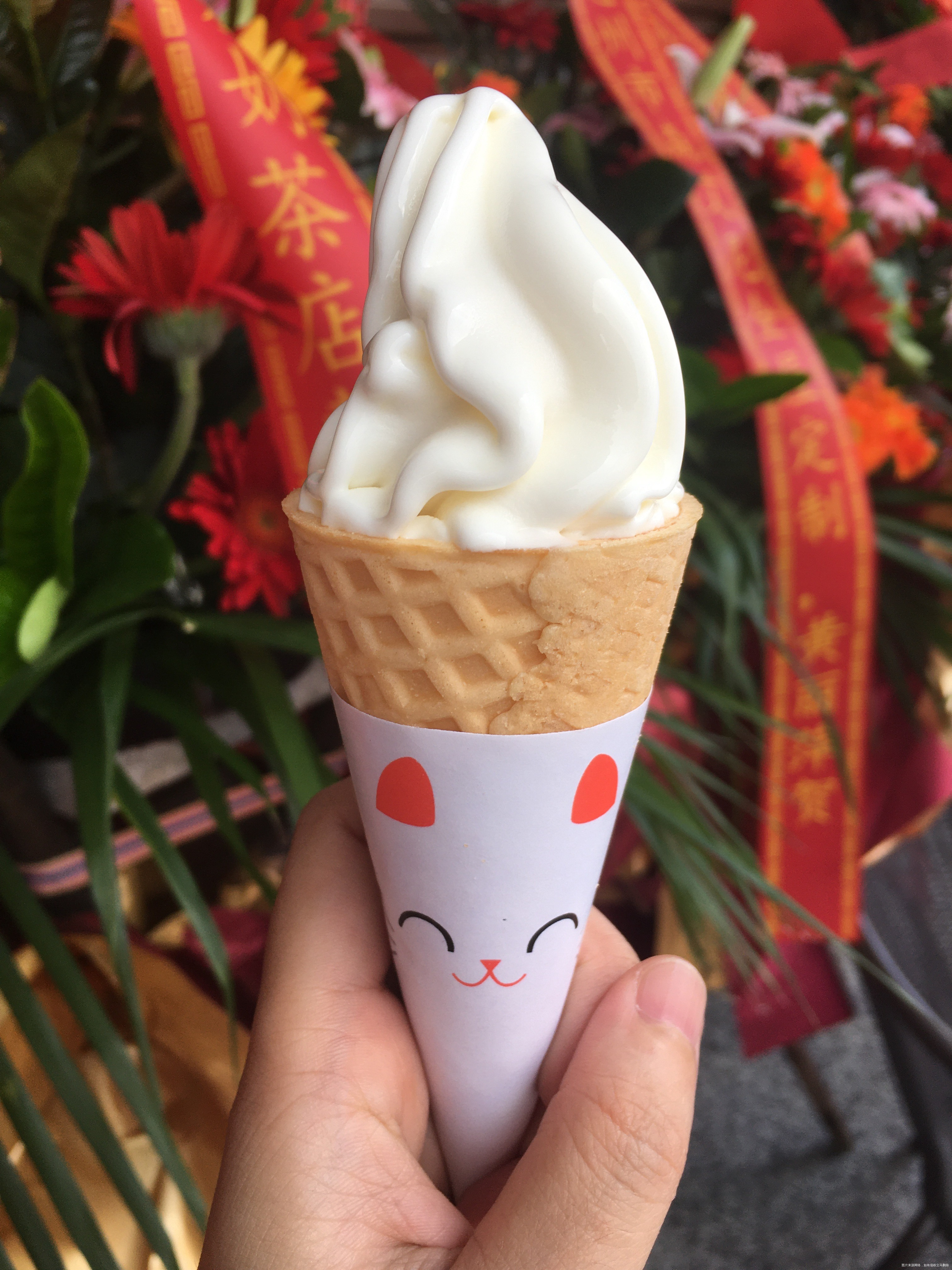 早餐吃了两个自己煎的面饼、午餐吃了一个小雪糕