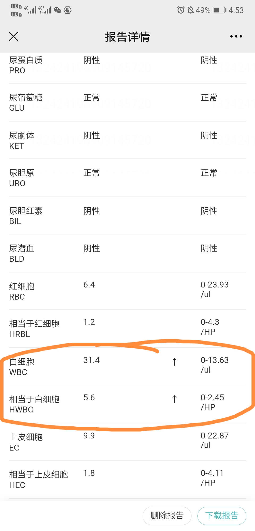 血常规白细胞12尿常规白细胞也高严重吗有问题