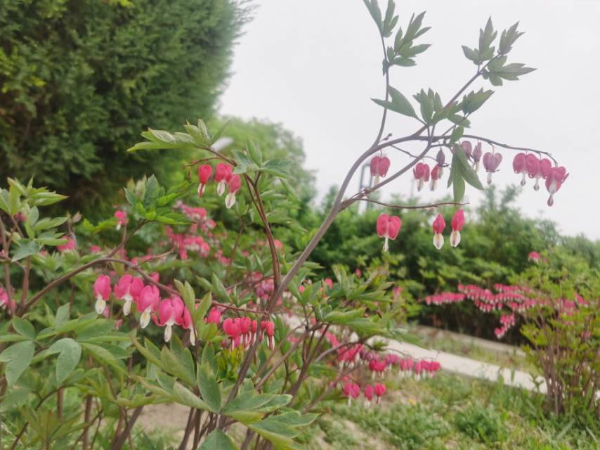 今天下午休息,上午和晚上在忙,除了基本的走路