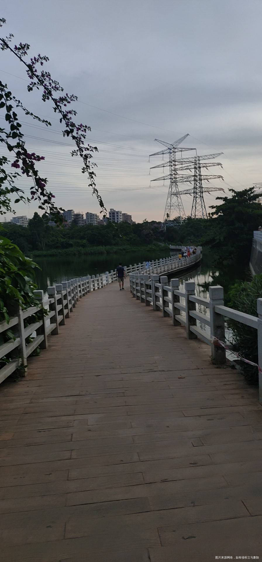 今天晚上一个小鸡腿和5个荔枝散步46公里打算