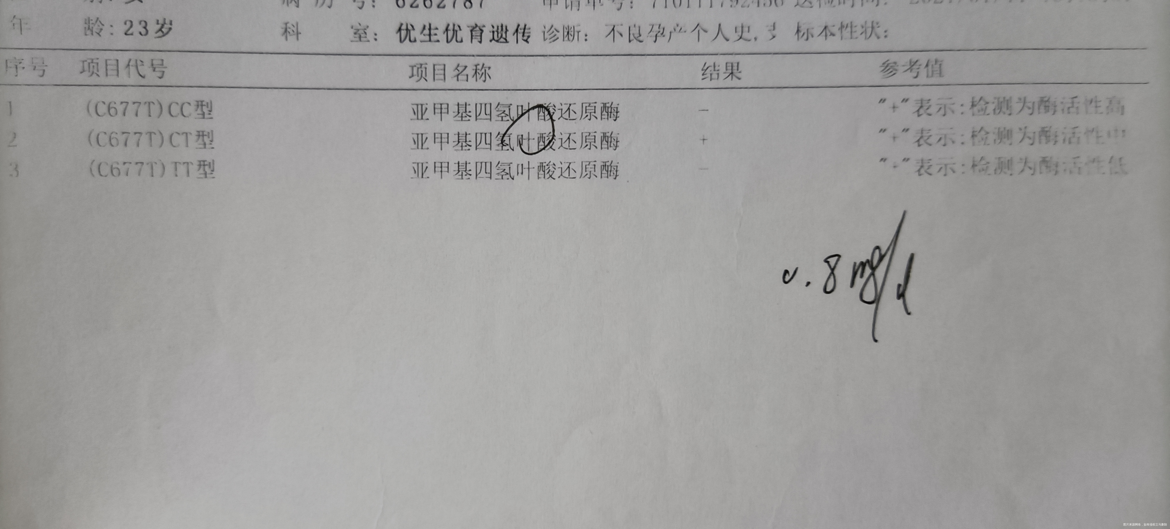 叶酸代谢中间的CT型显示酶活性偏中是属于低风