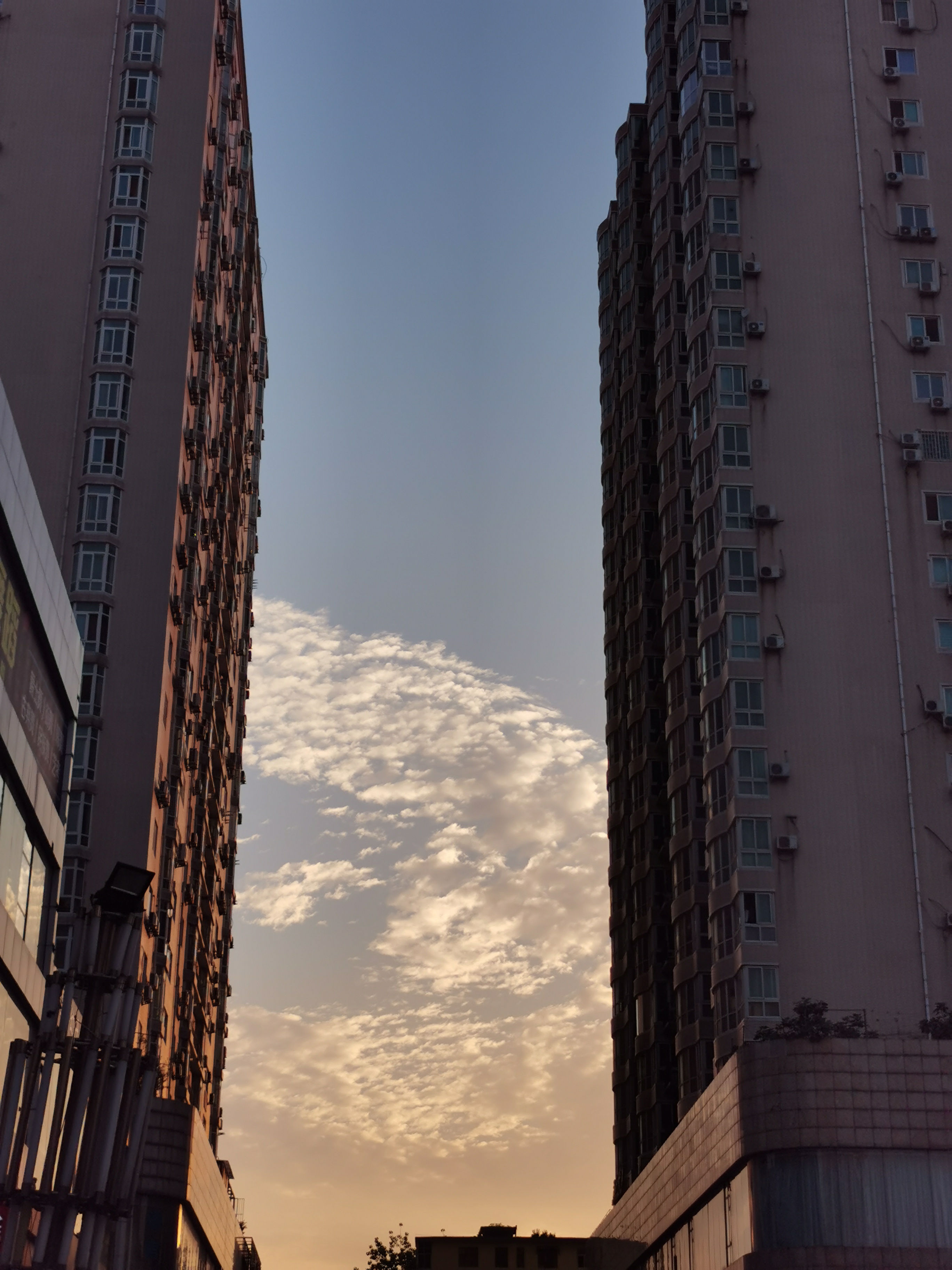 太棒啦,我完成7天打卡目标!姐妹们一起加油啊~