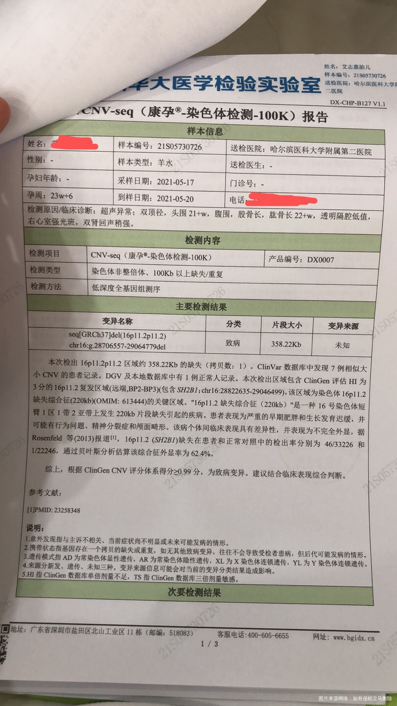 去年怀孕一次末次月经1127孕24周做彩超排