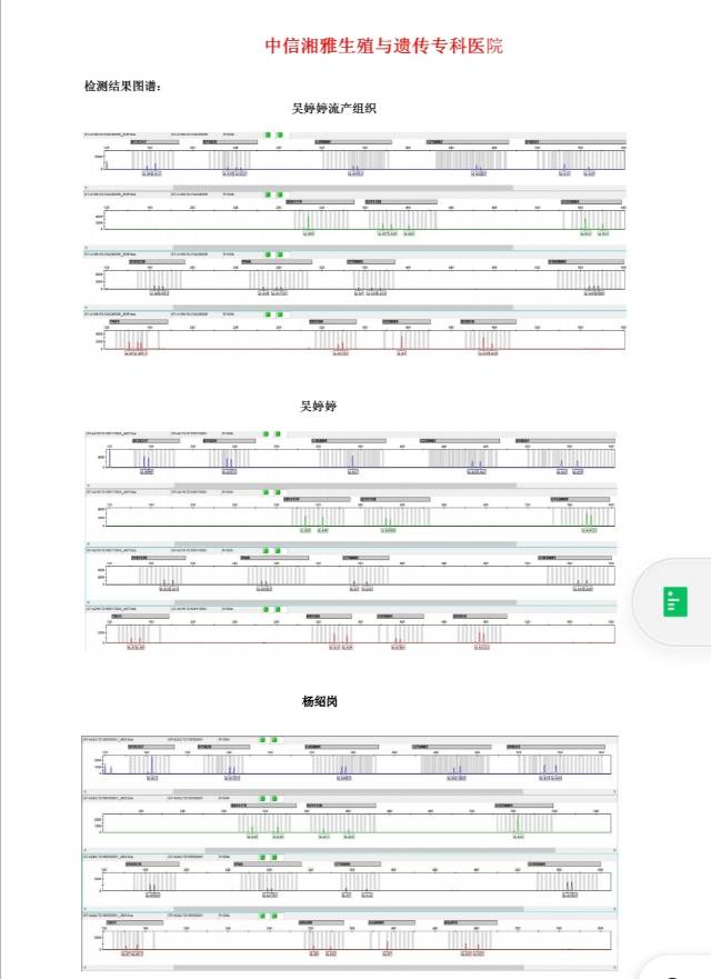 胚胎染色体检查为父源三倍体是哪个环节出了问题