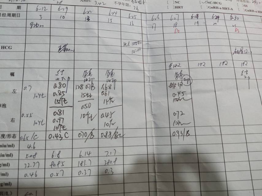 试管移植都已经排卵了为啥还要30号还要抽血B