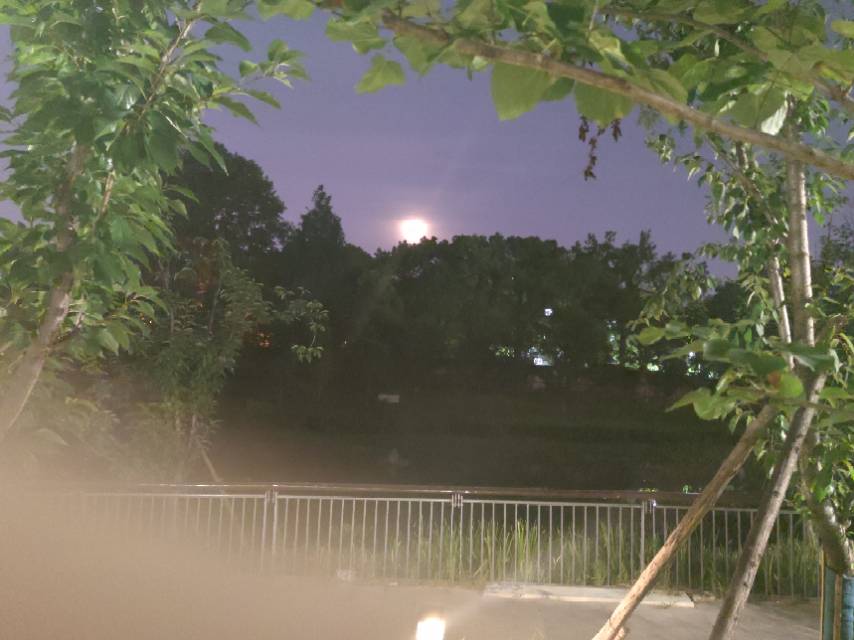 太棒啦,我完成7天打卡目标!姐妹们一起加油啊~